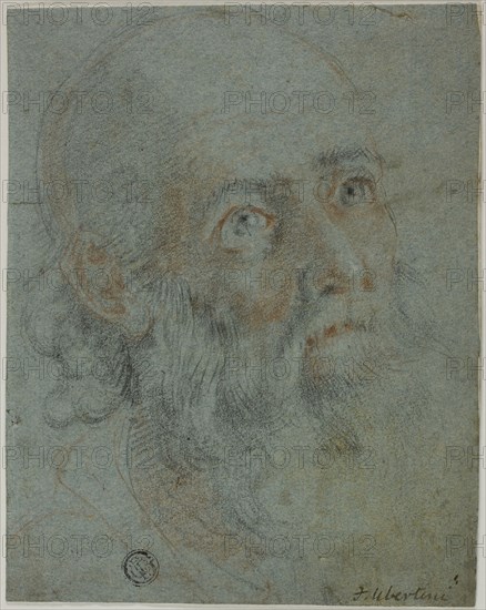Head of a Bearded Man, Looking Up to Right: Study for Saint Catherine of Alexandria Disputing with the Pagan Priests, c. 1603, Ludovico Cardi, called Il Cigoli (Italian, 1559-161, or follower of Federico Barocci (Italian, c. 1535-1612), Italy, Red and black chalk, heightened with touches of white chalk, on blue laid paper, laid down on cream laid card, 165 x 130 mm