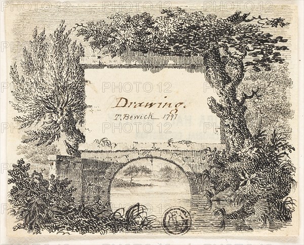 Vignette with Bridge Trees, 1797, Attributed to Thomas Bewick, English, 1753-1828, England, Pen and black ink on ivory laid paper, 79 × 99 mm