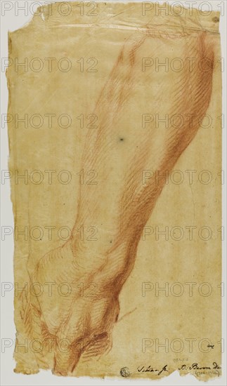 Left Arm of a Hunter, n.d., Bernard Baron (French, 1696-1762), after Tiziano Vecellio, called Titian (Italian, c. 1488-1576), France, Red chalk on oiled golden-yellow transparentized laid paper, 338 × 194 mm (ma×.)