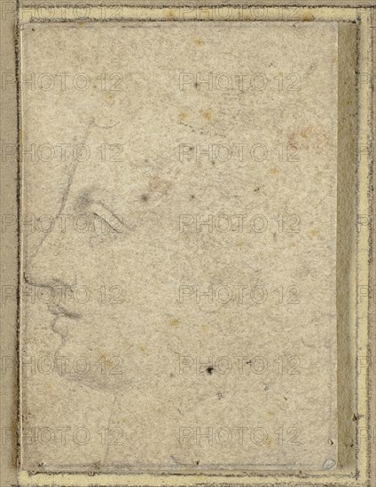 Head of a Youth in Profile to Left, n.d., Unknown Artist, Italian, early 16th century, Italy, Black chalk on buff laid paper, tipped on to card, 41 x 29 mm