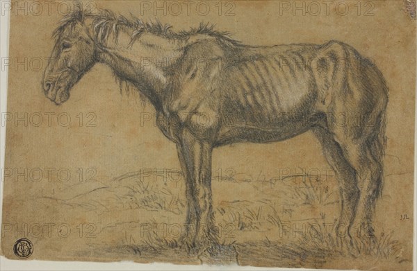 Emaciated Horse (recto), Frontal View of a Horse (verso), n.d., Charles Émile Jacque, French, 1813-1894, France, Black chalk, with charcoal, heightened with touches of white chalk, over graphite, selectively varnished with gum arabic (recto) and graphite (verso) on brown laid paper, 142 × 215 mm