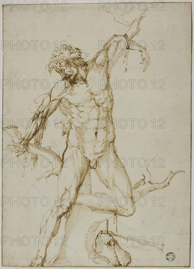 Marsyas Tied to a Tree, c. 1550, Follower of Baccio Bandinelli, Italian, 1493-1560, Florence, Pen and brown ink on ivory laid paper, laid down on ivory wove paper, tipped onto gray card, 284 × 205 mm