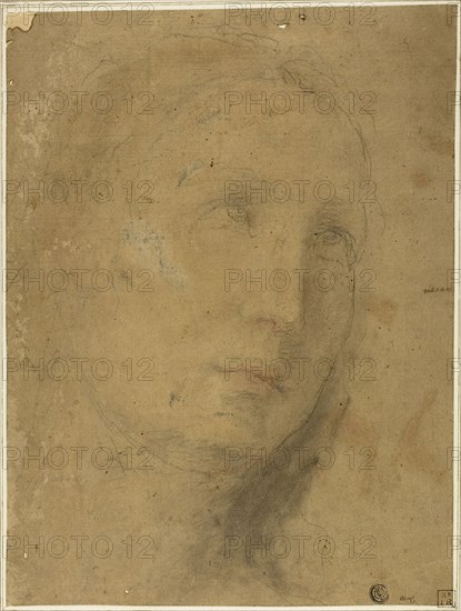 Head Looking Upwards, n.d., Unknown Artist, Italian, late 16th Century, Italy, Red and black chalk, heightened with lead white (partially oxidized), on tan laid paper, laid down on ivory laid paper, 294 x 220 mm