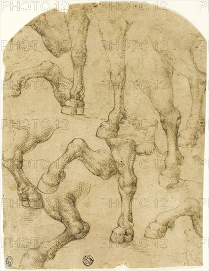 Sketches of Horses’ (or Dromedaries’) Legs (recto), Columns (verso), c. 1530, Follower of Leonardo da Vinci, Italian, 1452-1519, Italy, Pen and brown ink (recto), and black chalk (verso) on tan laid paper, 234 x 178 mm