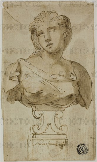Bust of a Woman, 1555-1565, Attributed to Luca Cambiaso, Italian, 1527-1585, Italy, Pen and brown ink with brush and brown wash, heightened with lead white, over traces of graphite, on ivory laid paper, laid down on ivory laid paper, 137 x 80 mm