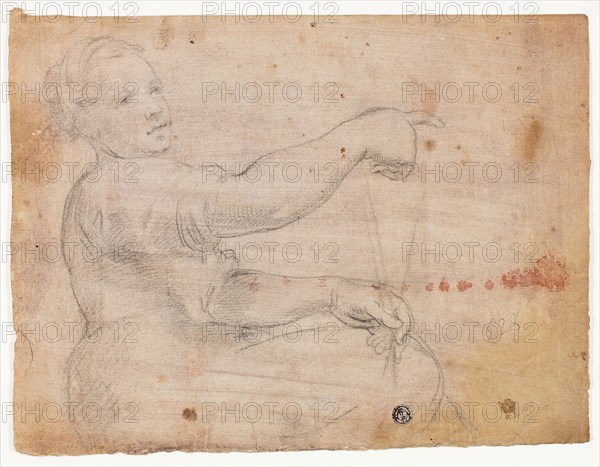 Seated Girl, n.d., Probably Domenico Fiasella (Italian, 1589-1669), or possibly Lazzaro Tavarone (Italian, 1556-1641), or possibly Lorenzo Lippi (Italian, 1606-1665), Italy, Black chalk on pink tinted laid paper, 218 x 287 mm