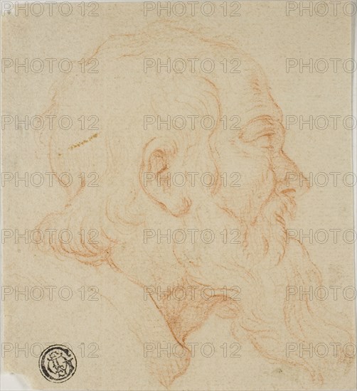 Head of Old Man in Profile to Right, n.d., Possibly Follower of Simone Cantarini (Italian, 1612-1648), or Style of Domenico Cresti (Italian, 1559-1638), Italy, Red chalk, on cream laid paper, 105 x 95 mm