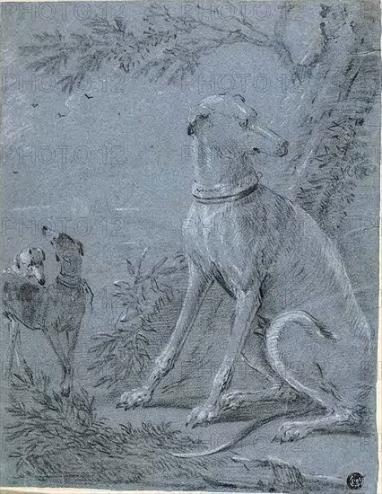Seated Hound Beside Trees, n.d., Style of Jean-Baptiste Oudry, French, 1686-1755, France, Black chalk, heightened with white chalk, on blue laid paper, tipped on cream wove paper, 304 × 235 mm