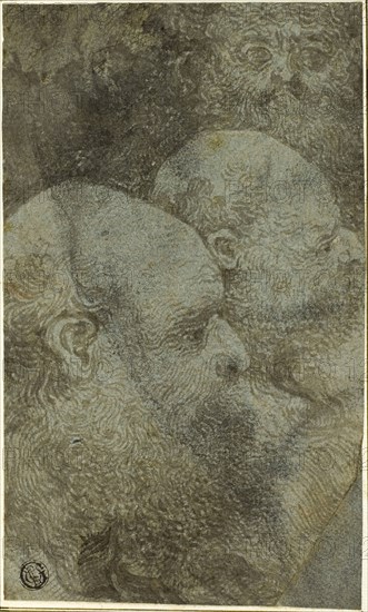 Three Bearded Male Heads, Two in Profile to the Right, n.d., Circle of Bernardino Lanino, Italian, c. 1509- after 1581, Italy, Brush and gray-brown ink and wash, on blue laid paper, laid down on ivory laid paper, 202 x 120 mm