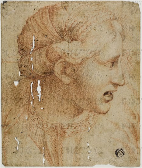 Female Head in Profile, Facing Right, early 18th century, After Workshop of Raffaello Sanzio, called Raphael, Italian, 1483-1520, Italy, Black and red chalk on ivory laid paper, 175 x 148 mm