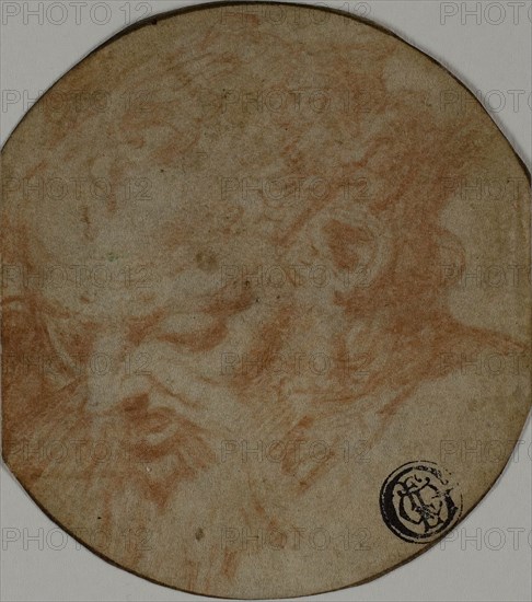 After the Antique (?): Head of a Satyr, n.d., Unknown Artist, Italian, 1500-1599, Italy, Red chalk, on ivory laid paper, 75 x 66 mm (max.)