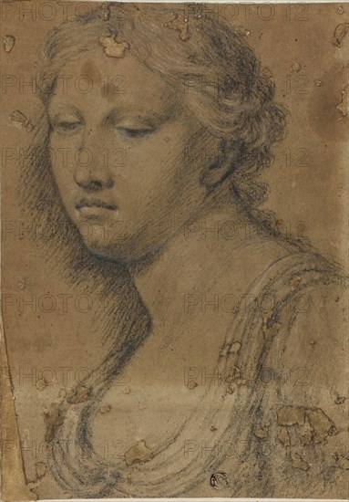 Bust of Woman, n.d., Attributed to Girolamo Sellari, called Girolamo da Carpi, Italian, 1501-1556, Italy, Black chalk, heightened with white chalk, on brown laid paper, laid down on ivory laid paper, 237 x 167 mm