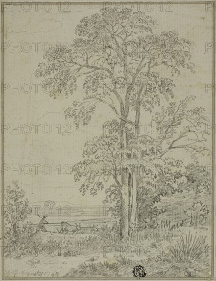 Landscape with Tree, Man, and Cows, August 7, 1765, Attributed to Sir George Howland Beaumont, English, 1753-1827, England, Graphite on ivory laid paper, laid down on ivory laid card, 200 × 153 mm