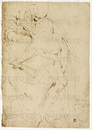 Standing Male Nude (Saint Jerome?) with Book, 1550s, Luca Cambiaso, Italian, 1527-1585, Italy, Pen and brown ink on buff laid paper, 407 x 285 mm (max.)