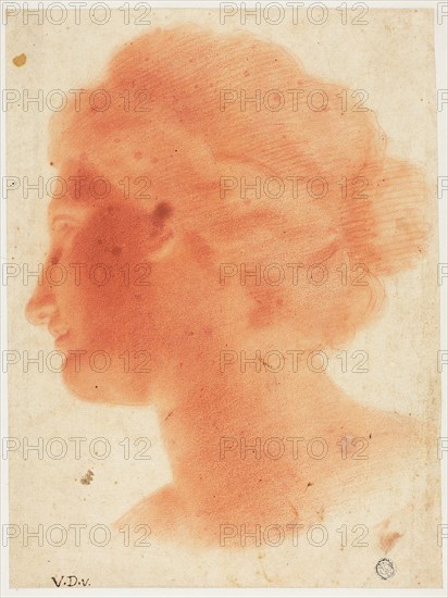 Head of Venus de Medici, n.d., Vincenzo Dandini, Italian, 1607-1675, Italy, Red chalk, with stumping, on cream laid paper, laid down on ivory wove card, 275 x 205 mm