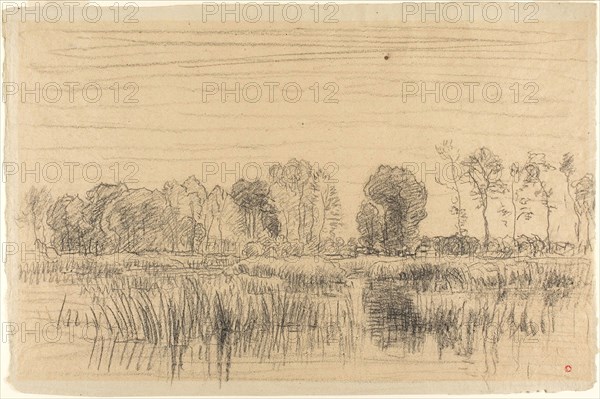 Marsh and Screen of Trees, n.d., Charles François Daubigny, French, 1817-1878, France, Black chalk on tan laid paper discolored to dark tan, 313 × 478 mm