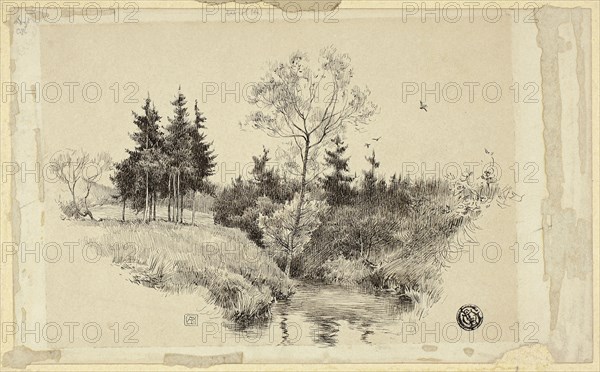 Brook in Forest, n.d., Unknown artist, possibly 19th century, Unknown Place, Pen and black ink on ivory wove paper (discolored to buff), laid down on tan wood-pulp board, 140 × 227 mm