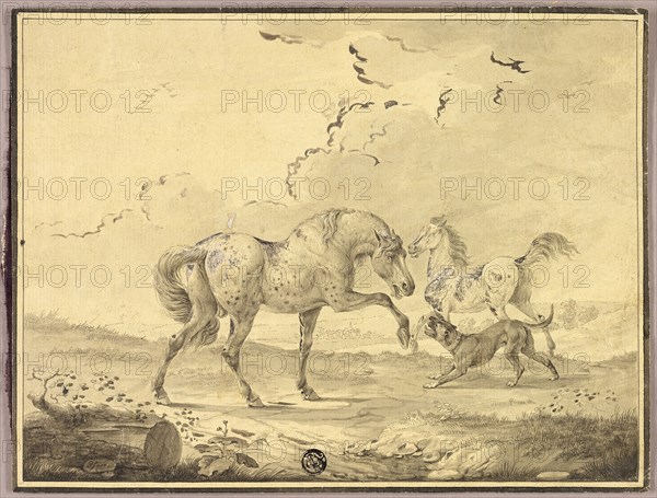 Two Horses Fighting Dog, n.d., Johann Georg Pforr, German, 1745-1798, Germany, Pen and gray ink, with brush and gray and brown  wash, heightened with lead white (discolored), on  cream laid paper, 187 × 245 mm