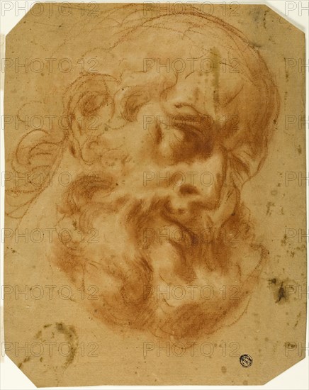 Bearded Head, n.d., Unknown Artist, Italian, 17th century, Italy, Red chalk, with stumping, heightened with touches of white chalk, with traces of black chalk, on tan laid paper, 293 × 230 mm
