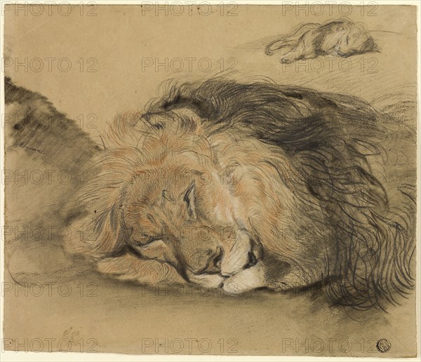 Lion’s Head and Sketch of a Lion, n.d., Attributed to Edmé Saint-Marcel (French, 1819-1890), or style of Antoine Louis Barye (French, 1795-1875), France, Charcoal and graphite, with stumping, and red chalk with touches of white chalk, on brown wove paper, 252 × 295 mm