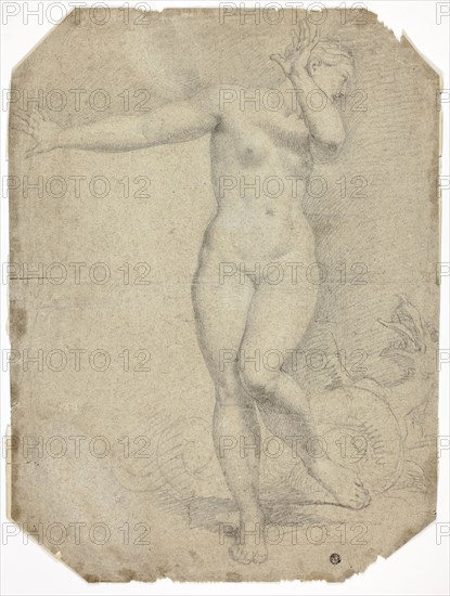 Andromeda and the Sea-Monster, n.d., circle of Charles Le Brun, French, 1619-1690, France, Charcoal, with touches of stumping, heightened with traces of white chalk, on buff laid paper with blue and brown fibers, 532 × 392 mm