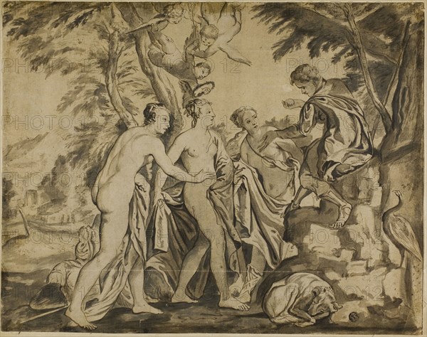 Judgement of Paris, 17th century, after Workshop of Paolo Caliari, called Veronese, Italian, 1528-1588, Italy, Pen and brown ink, and brush and brown wash, on tan laid paper, edge mounted to tan board, 330 × 417 mm (max.)