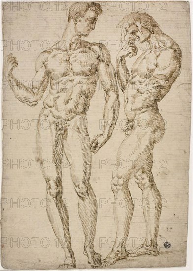 Two Standing Male Nudes, 1548/50, School of Baccio Bandinelli, Italian, 1493-1560, Italy, Pen and brown ink, over black chalk, on ivory laid paper, laid down on ivory laid paper, 409 × 287 mm