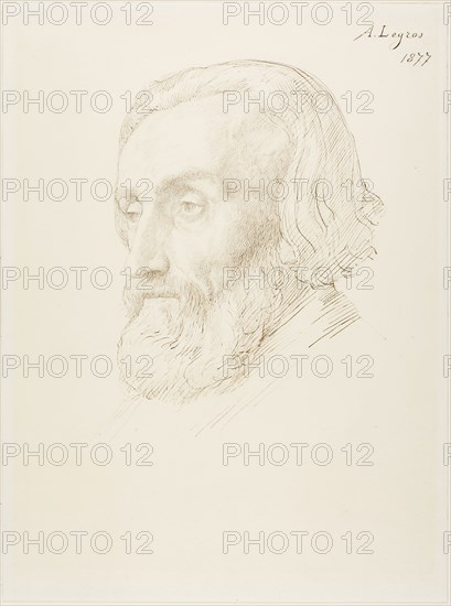 Head of a Man, 1877, Alphonse Legros, French, 1837-1911, France, Pen and brown ink, over graphite, on ivory wove paper (discolored to cream), 407 × 302 mm