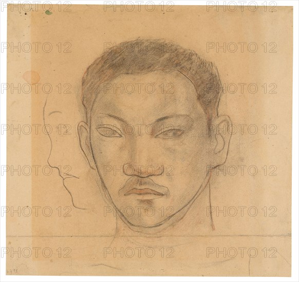 Head of a Tahitian with Profile of Second Head to His Right, 1891/93, Paul Gauguin, French, 1848-1903, France, Black and red chalk, selectively stumped, on cream wove paper, 352 × 369 mm