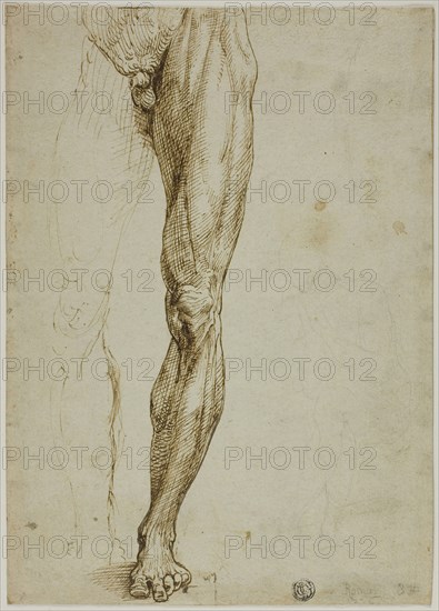 Male Figure Study, with Slight Sketch of Seated Figure, 1540/50, Follower of Michelangelo Buonarroti, Italian, 1475-1564, Italy, Pen and brown ink, with traces of black chalk, on ivory laid paper, 269 x 191 mm (max.)