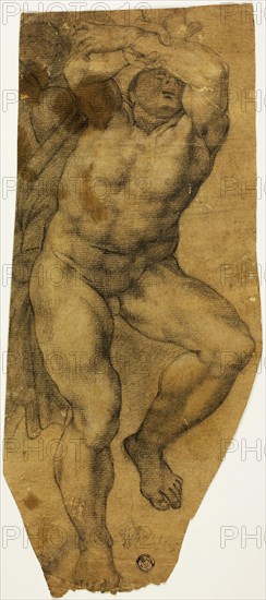 Ascending Male Nude, mid–16th century, After Michelangelo Buonarroti, Italian, 1475-1564, Italy, Black chalk on tan laid paper, 327 x 142 mm (max.)