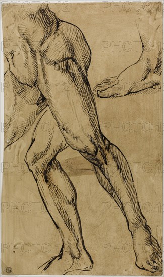 Legs and Feet of Male Nude, 1812/50, Possibly after Michelangelo Buonarroti, Italian, 1475-1564, Italy, Pen and brown ink, on cream wove paper prepared with a pale brown wash, 431 x 256 mm