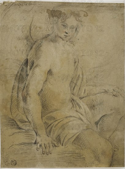 Seated Angel, n.d., Attributed to Mario Balassi (Italian, 1604-1667), or Lorenzo del Pasinelli (Italian, 1629-1700), Italy, Black chalk, heightened with touches of white and red chalk, on blue gray laid paper, 273 x 205 mm
