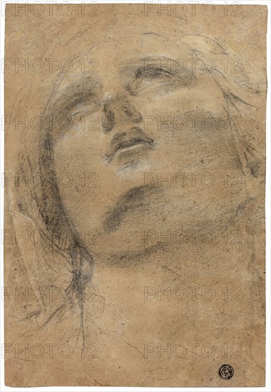 Head of the Virgin Looking Upwards, c. 1615, Jacopo Cavedone, Italian, 1577-1660, Italy, Black chalk, heightened with white chalk, on brown laid paper, 255 x 173 mm
