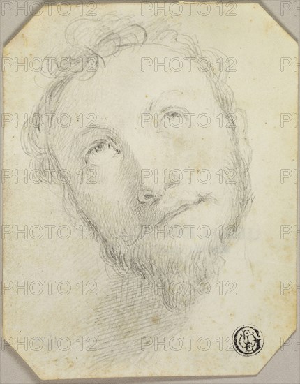 Head of Bearded Man Looking Upwards, n.d., Jonathan Richardson (English, 1665-1745), after Federico Barocci (Italian, c. 1535–1612), England, Graphite on parchment, 117 × 93 mm