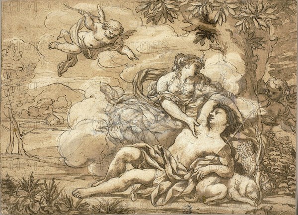 Diana and Endymion, n.d., probably after Ciro Ferri, Italian, 1634-1689, Italy, Pen and brown ink, with brush and brown wash, heightened with lead white (discolored), over black chalk, on tan laid paper, laid down on cream laid paper, 219 x 302 mm