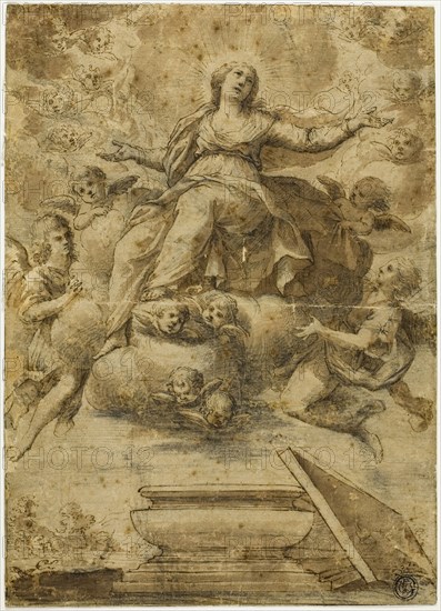 Assumption of the Virgin, n.d., School of Carlo Maratti, Italian, 1612-1666, Italy, Pen and brown ink, with brush and brown wash and black chalk, on ivory laid paper, laid down on ivory laid paper, 245 x 175 mm