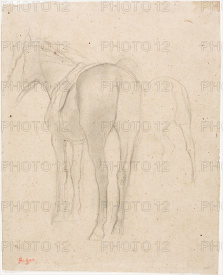 Studies of a Horse, 1868/75, Edgar Degas, French, 1834-1917, France, Graphite with stumping on tan wove paper, 305 × 246 mm