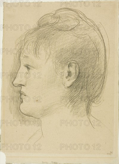 Head of a Woman, c. 1890, Pierre Puvis de Chavannes, French, 1824-1898, France, Black chalk on tan laid paper, 271 × 193 mm