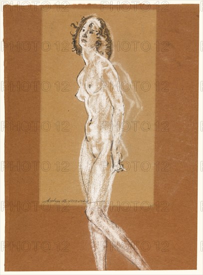 Standing Female Nude, 1882/93, Arthur B. Davies, American, 1862-1928, United States, Black crayon and white chalk on brown laid paper (partially discolored to tan), 412 x 303 mm