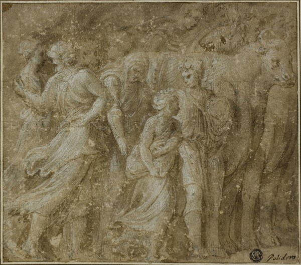 Procession of Figures and Oxen, n.d., Biagio Pupini, called dalle Lame, Italian, active 1511-d. 1551, Italy, Pen and brown ink with brush and brown wash, heightened with lead white (partially oxidized), on cream laid paper, laid down on ivory laid paper, 199 x 226 mm