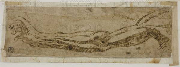 Academic Arm, Extended, 1500/10, Circle of Michelangelo Buonarroti, Italian, 1475-1564, Italy, Pen and brown ink on tan laid paper, laid down on ivory laid paper, 65 x 254 mm