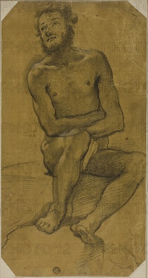 Seated Male Nude, 1600/40, Follower of Jacopo Chimenti, called Jacopo da Empoli, Italian, 1551-1640, Italy, Black chalk heightened with traces of white chalk, on cream laid paper prepared with ochre wash, laid down on cream wove paper, 368 x 194 mm