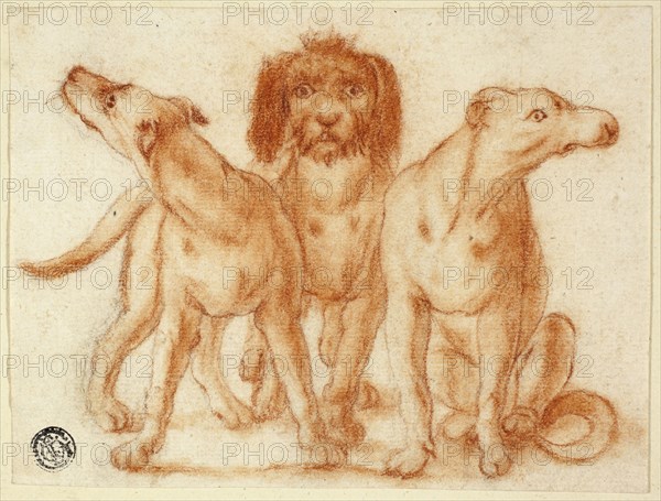 Three Dogs, n.d., Unknown Artist, Dutch, 18th century, Italy, Red chalk with stumping over graphite on ivory laid paper, tipped onto cream wove paper, 112 x 148 mm