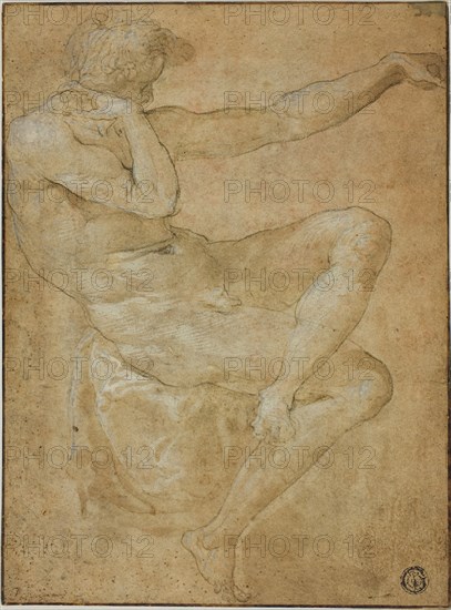 Seated Male Nude with Outstretched Left Arm, n.d., Unknown Artist (Italian, late 16th century), or possibly after Domenico Beccafumi, called Il Mecarino (Italian, 1484-1551), or possibly Imitator of Francesco Salviati (Italian, 1503-1540), or possibly Pellegrino Tibaldi (Italian, 1527-1596), or Style of Francesco Primaticcio (Italian, 1504-1479), Italy, Pen and brown ink with brush and brown wash, heightened with lead white (partly oxidized), with additions of black chalk, on tan laid paper, laid down on oatmeal wove paper, 232 x 165 mm (max.)