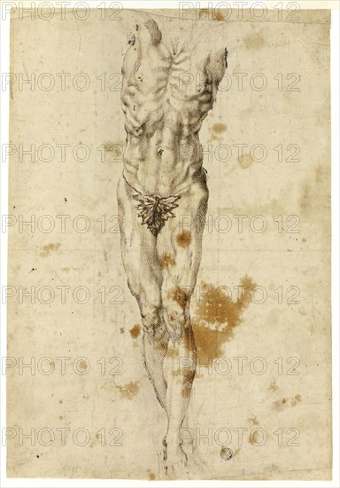 Crucified Christ or Marsyas, 1585/95, Follower of Michelangelo Buonarroti, Italian, late 16th century, Italy, Pen and brown ink, heightened with lead white (partially oxidized), on cream laid paper, squared in black chalk, laid down on ivory wove paper, 369 x 256 mm