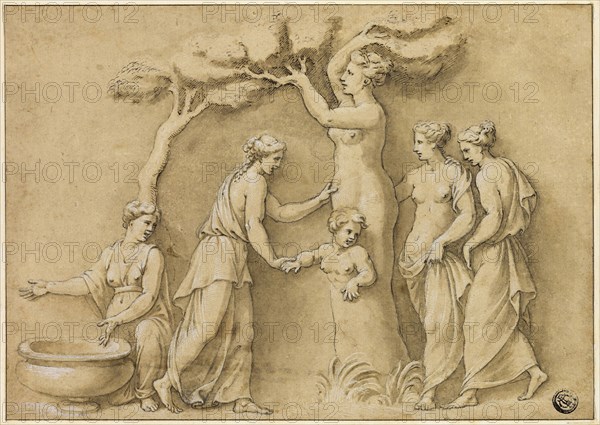Birth of Adonis, n.d., Possibly after Giulio Romano, Italian, 1499-1546, Italy, Pen and brown ink with brush and brown wash, heightened with lead white, over traces of black chalk, on tan laid paper, laid down on cream laid paper, 170 x 241 mm