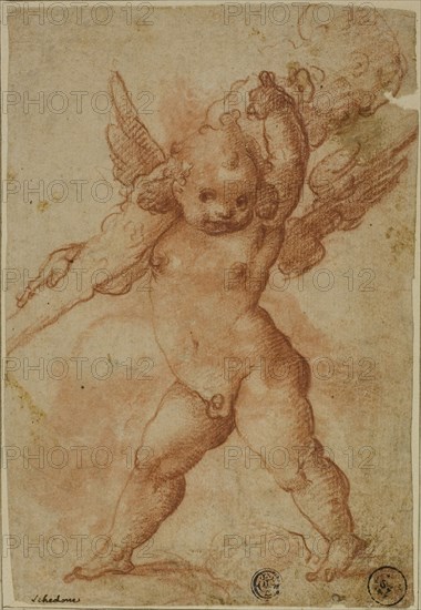 Putto with Club of Hercules, 1575/78, Marco Marchetti, called Marco da Faenza (Italian, c. 1526-1588), or Raffaellino Motta, called da Reggio (Italian, 1550-1578), or Bartolomeo Schedoni (Italian, 1578-1615), or Circle of Cherubino Alberti (Italian, Italy, Red chalk with brush and red chalk wash, on buff laid paper, laid down on cream laid paper, 190 x 129 mm (max.)