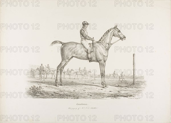 Constance, the Property of Mr. J.G. Schickler, c. 1820, Carle Vernet (French, 1758-1836), printed by Francois Seraphin Delpech (French, 1778-1825), France, Lithograph in black on ivory wove paper, 264 × 417 mm (image), 422 × 586 mm (sheet)
