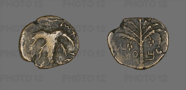 Coin Depicting a Palm Tree, AD 132/135, Judaean, Israel, Bronze, Diam. 2.7 cm, 11.18 g